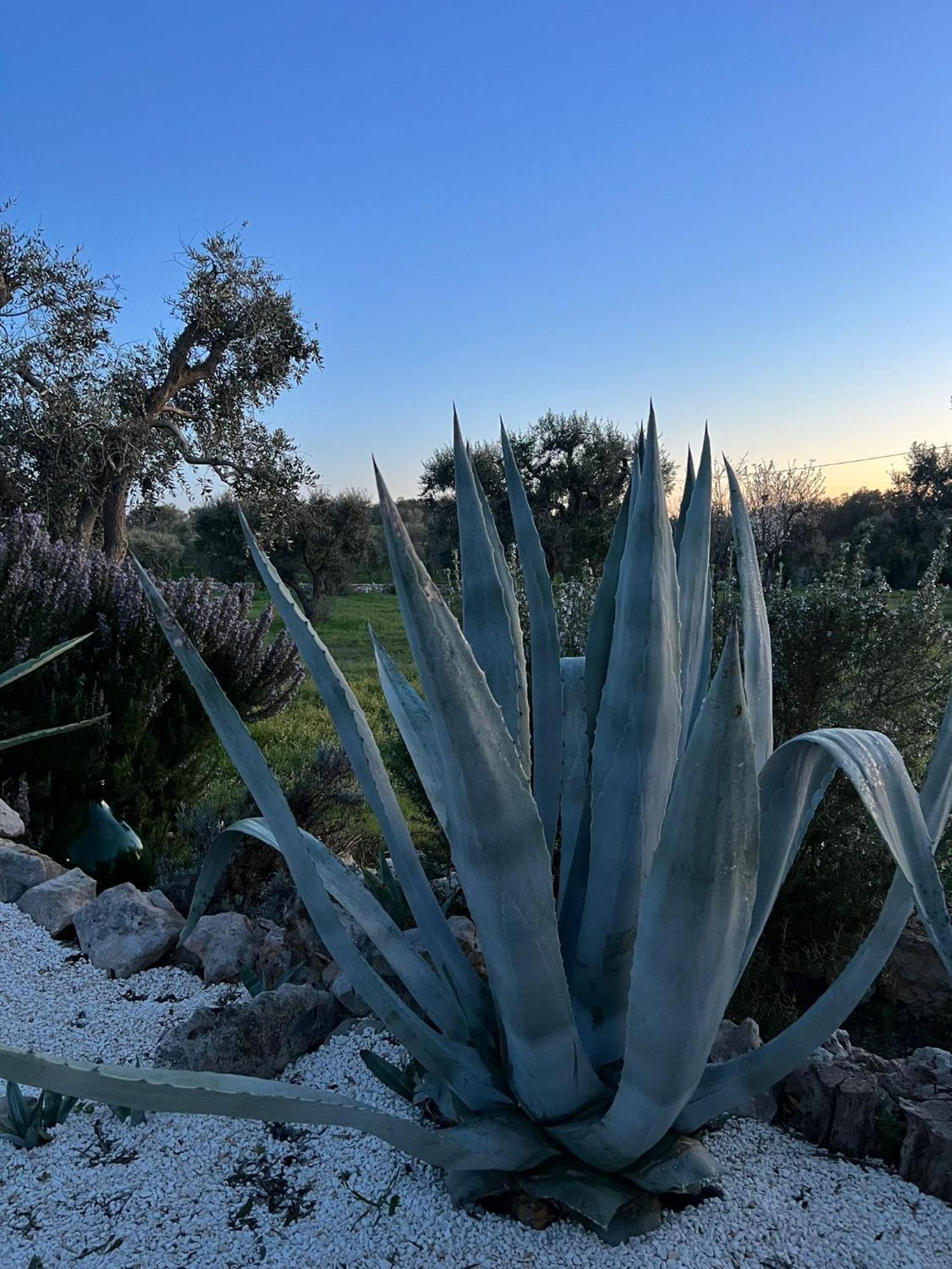 Trullo Oriale Villa Ostuni Eksteriør billede